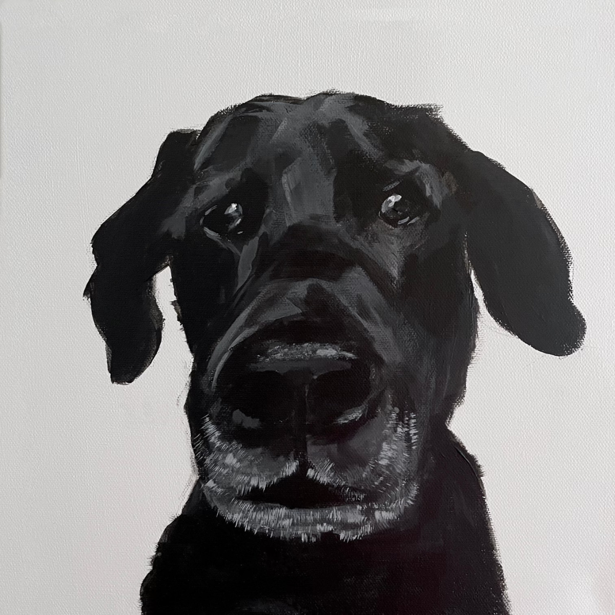 Stephanie Nichols Art - Pet Portraits - Black Dog