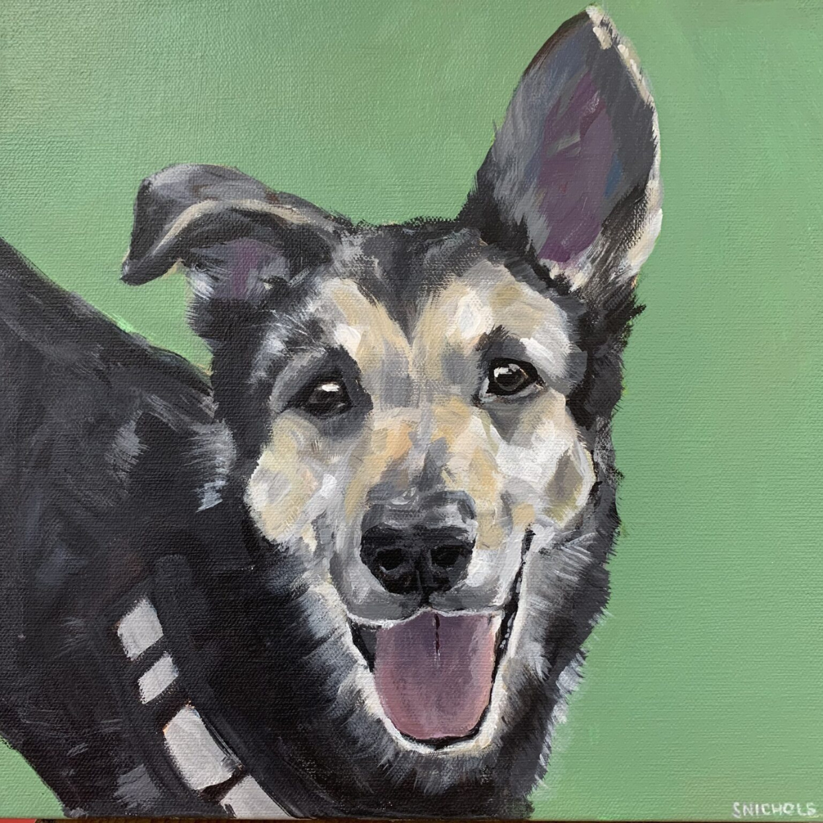 Stephanie Nichols Art - Pet Portraits - Roxy