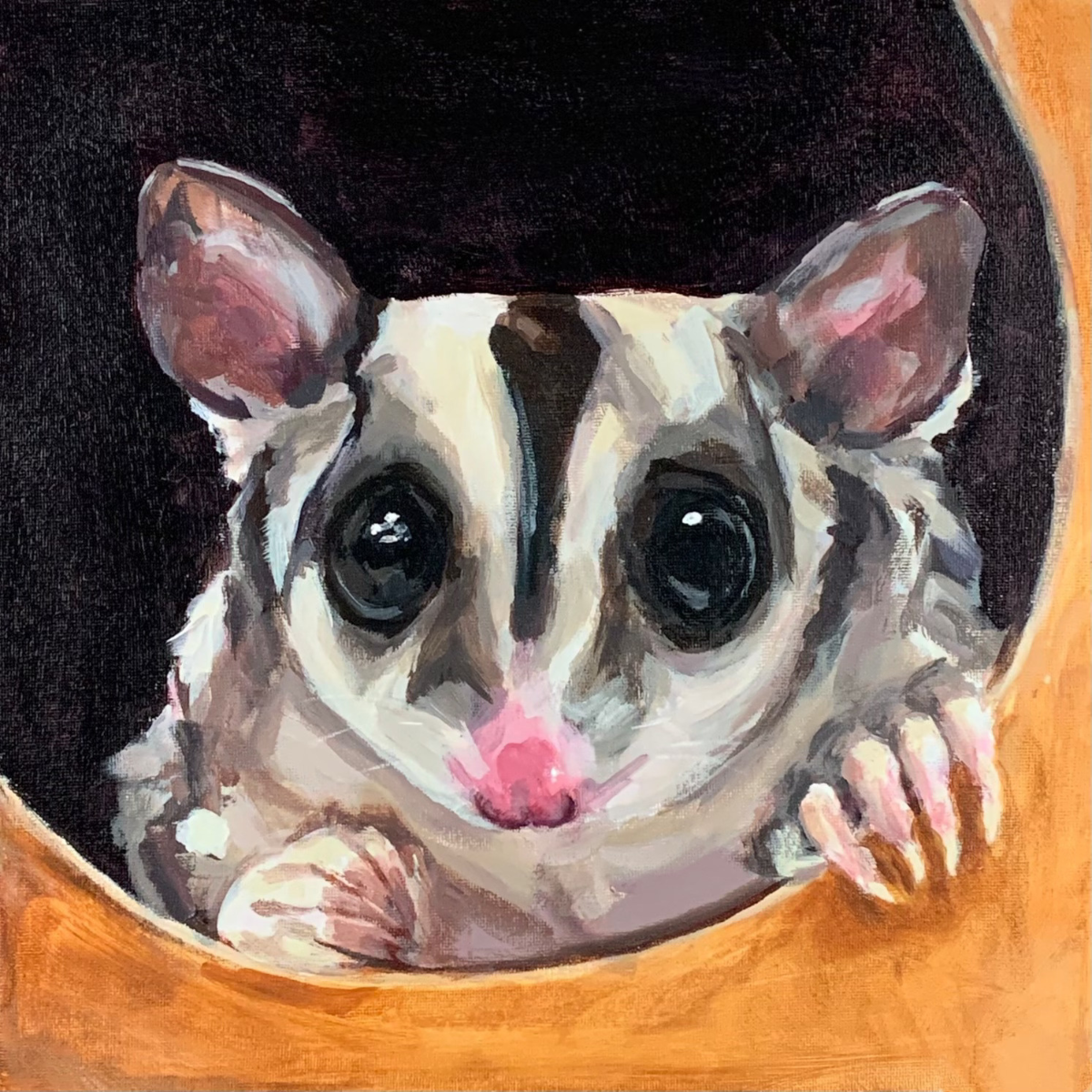Stephanie Nichols Art - Pet Portraits - Sedge the Sugar Glider