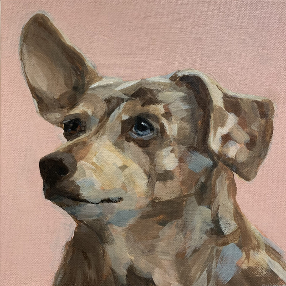 Stephanie Nichols Art - Pet Portraits - Stella