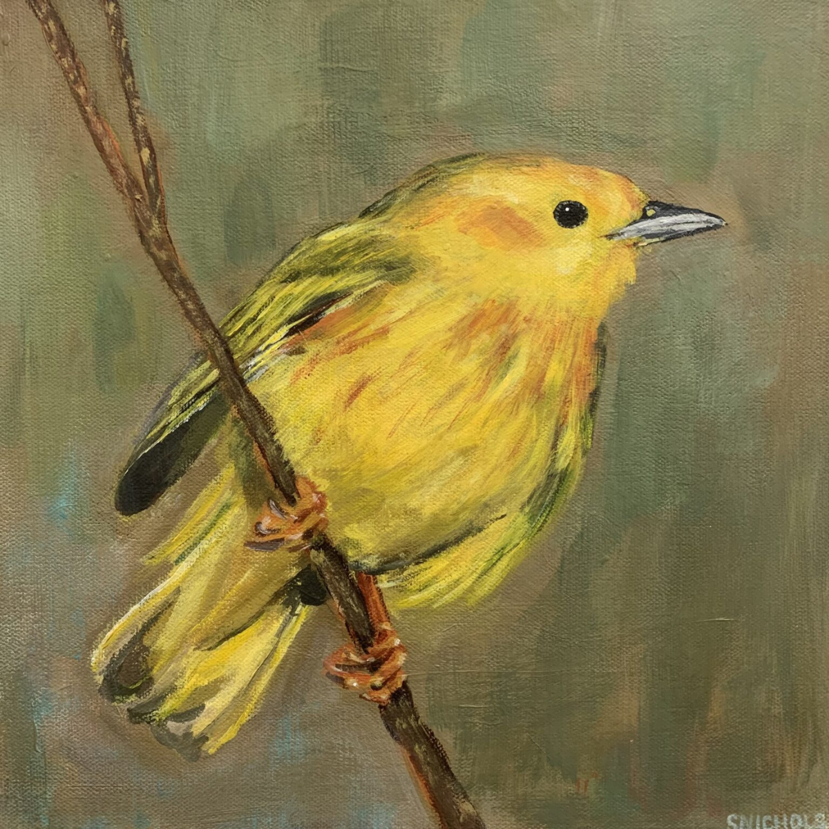 Stephanie Nichols Art - Pet Portraits - Yellow Bird